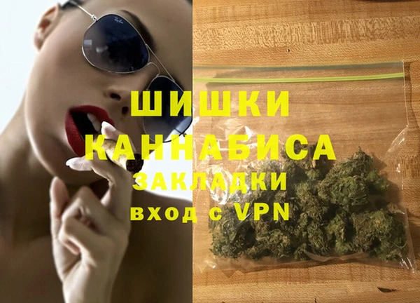 прущие грибы Волосово