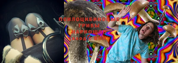 прущие грибы Волосово