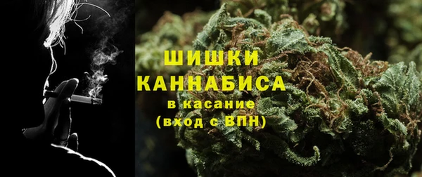 прущие грибы Волосово