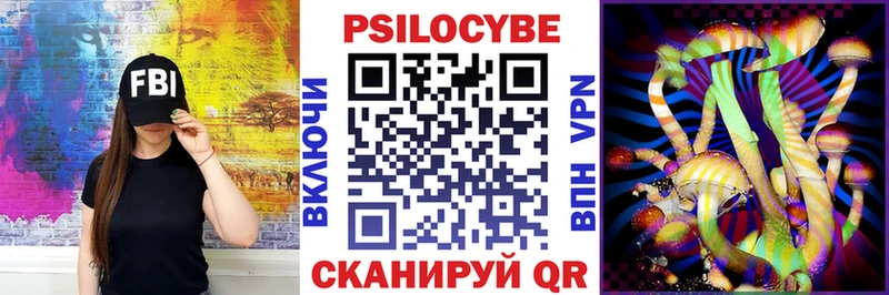 Купить закладки  Бежецк  Псилоцибиновые грибы MAGIC MUSHROOMS 